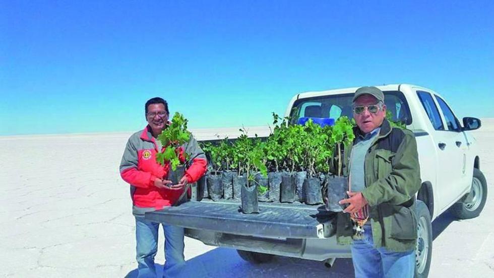 Concretan plantaciones de la vid en las orillas del salar