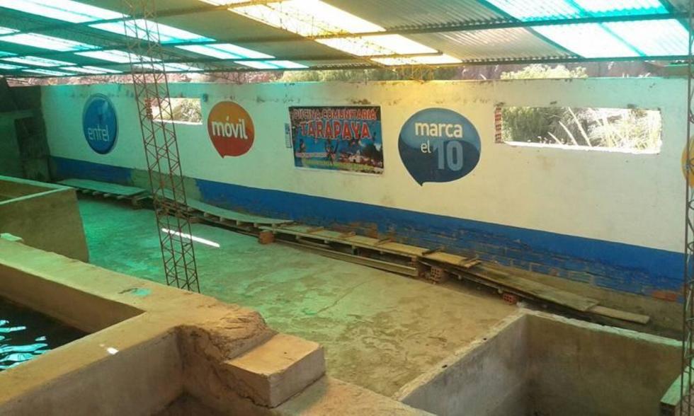 Advierten que existen hongos y bacterias en algunas piscinas 