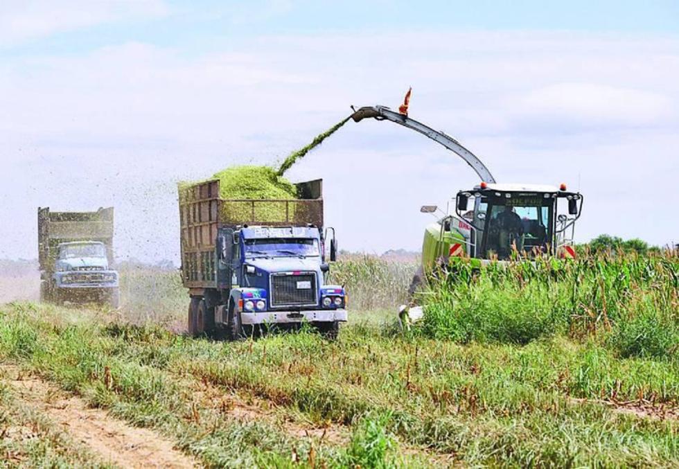 El agro se recupera y calcula un crecimiento del 3 por ciento para 2018