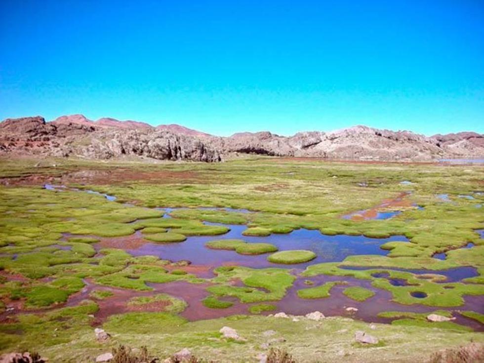Temen que desvío de agua por Chile crea un enorme daño ambiental