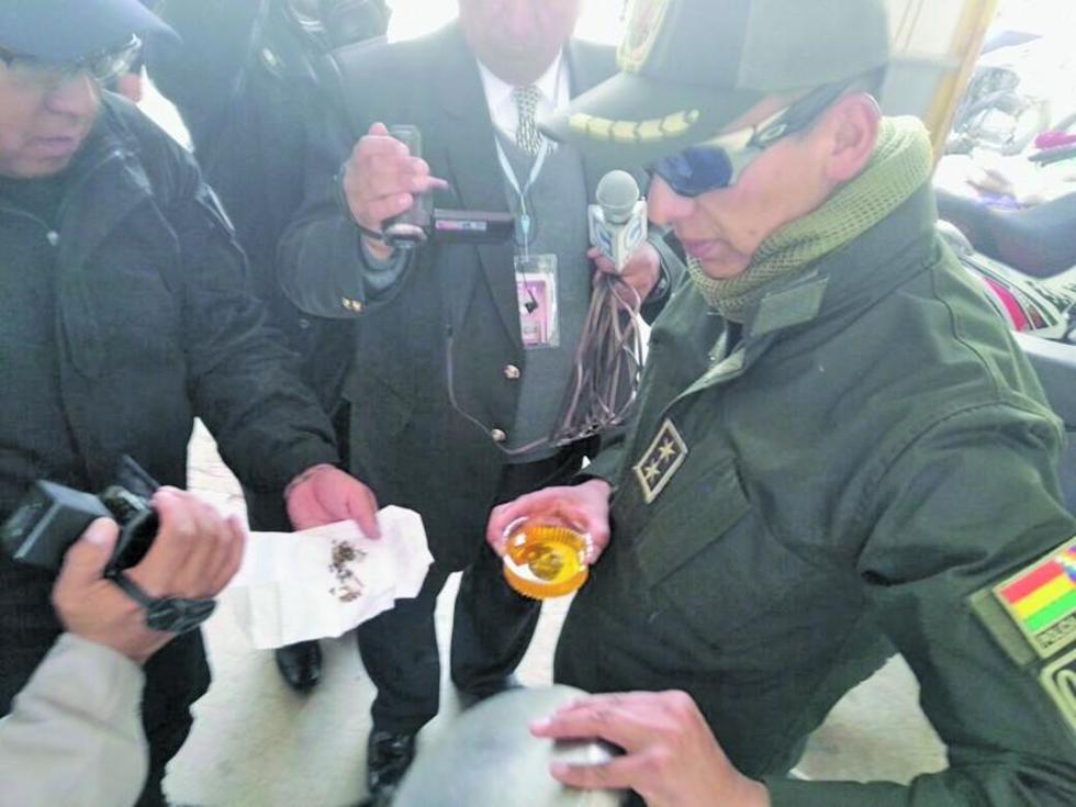 Hallan heces de ratón en una confitería