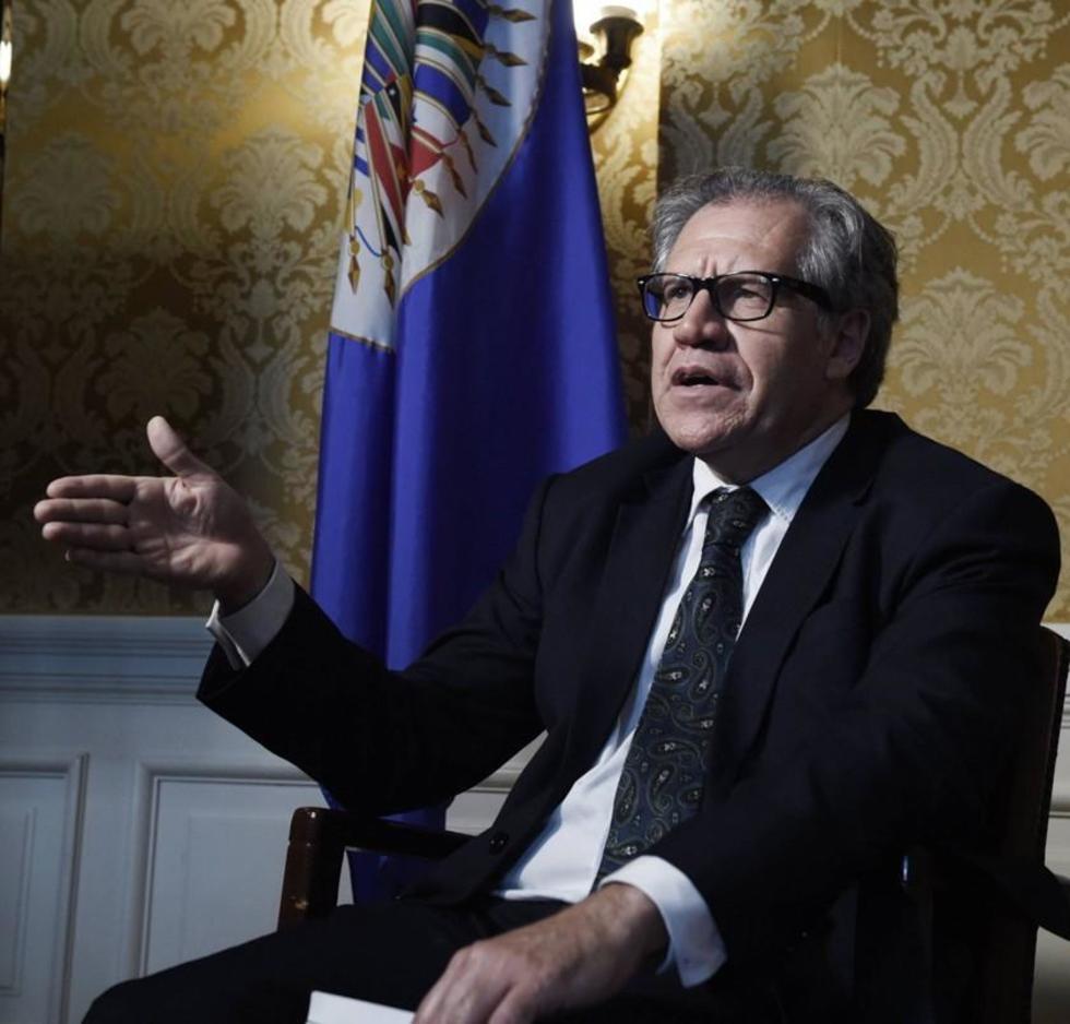 La OEA ratifica y concluye que la reelección no es derecho humano