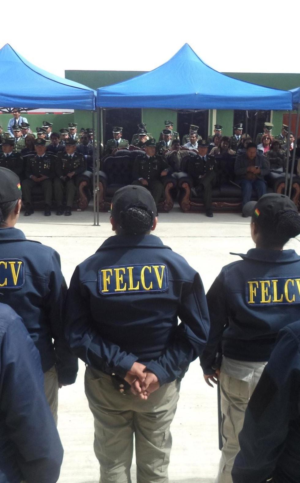 La Felcv plantea incluir  en la malla curricular la lucha contra la violencia