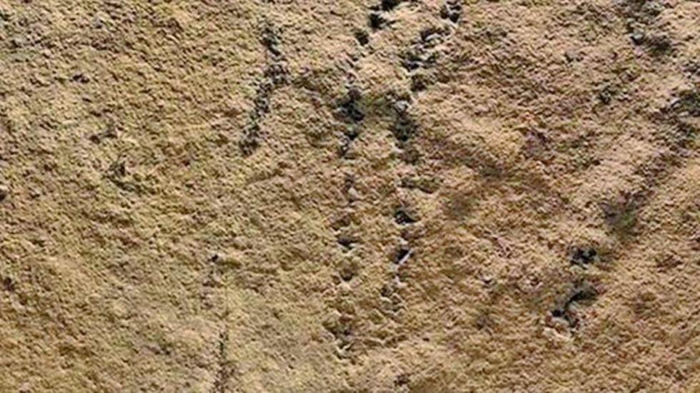 Buscan secretos de huella más antigua del mundo