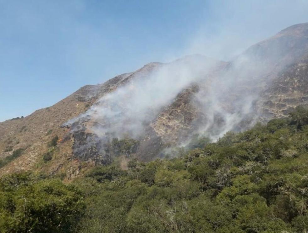 Apagan el incendio en la reserva de Sama en el Departamento de Tarija