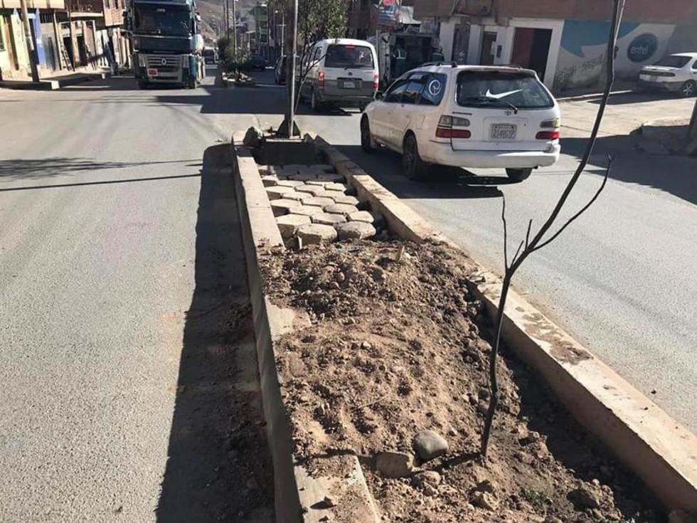 Adoquines en jardineras causas reacción