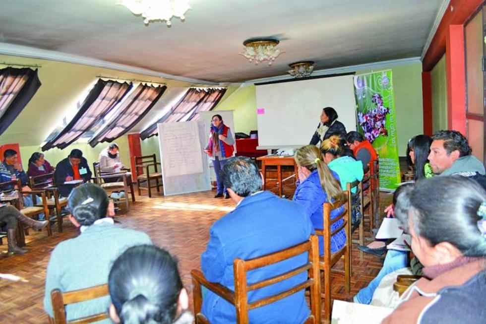 Demandan juzgados para el tratamiento de violencia