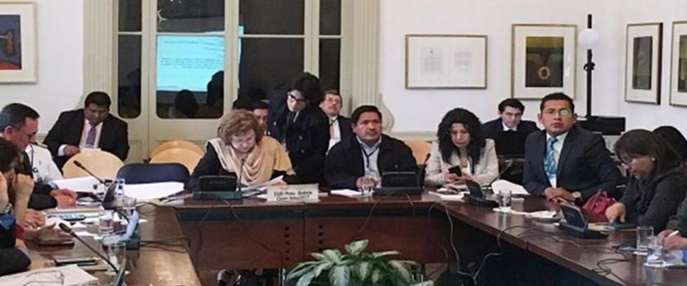 Bolivia y Perú ejecutarán operativos en la frontera