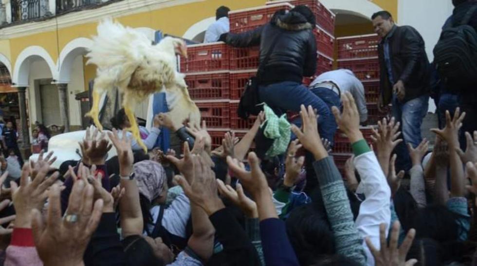Los productores avícolas regalan pollos vivos en protesta por insumos