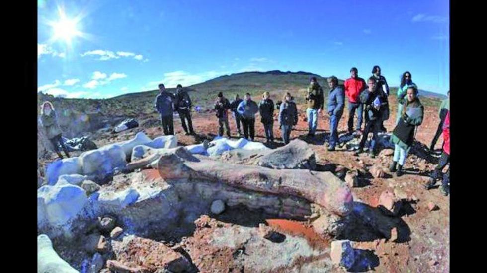 Hallan restos de un  dinosaurio gigante