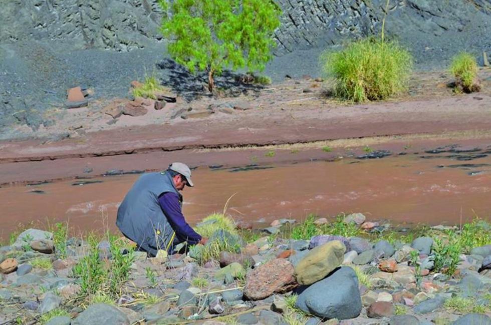 Hay siete empresas interesadas en proyecto de agua de Paranturí
