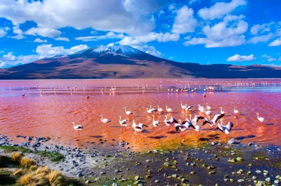 Promocionan los atractivos turísticos del norte potosino