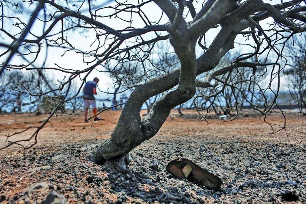 Incendios en Grecia ya dejan 80 muertos y buscan más víctimas