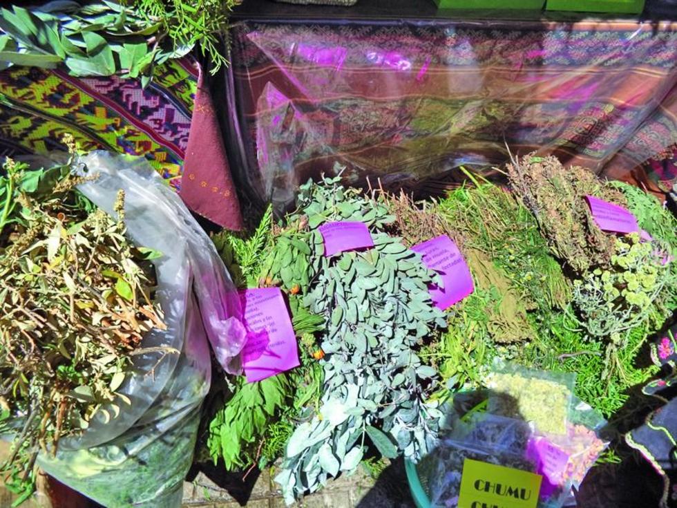 Adultos mayores exponen sus saberes tradicionales