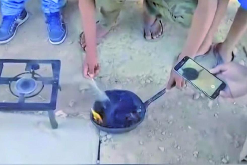 Cochabamba: indagan la presunta presencia de arroz plástico en Sipe Sipe