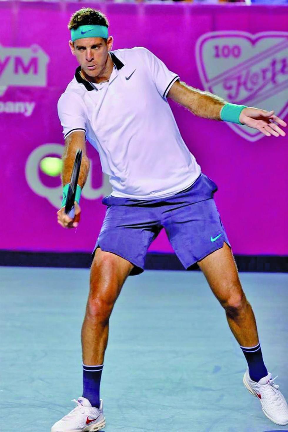 Del Potro disputará la final ante Fognini