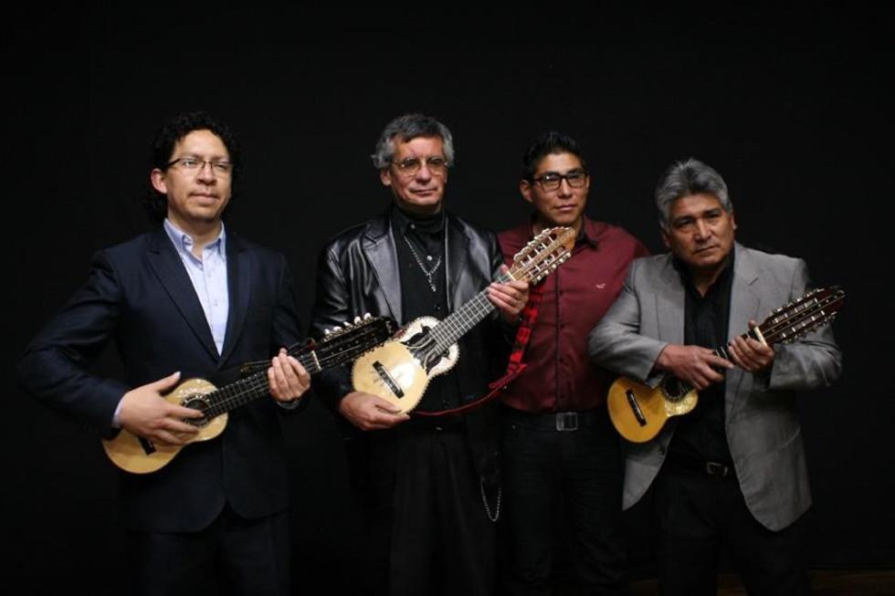 Expertos del charango ofrecen  concierto