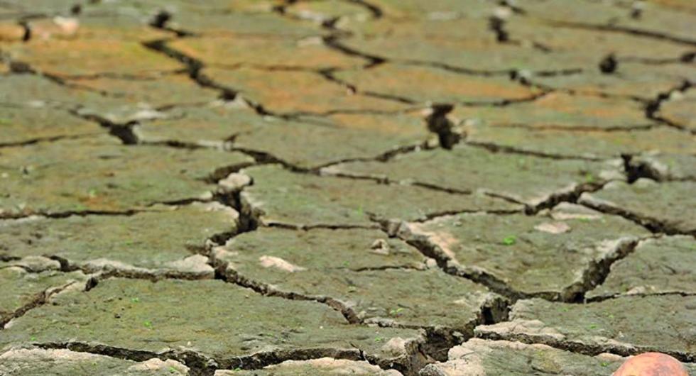 Ola de calor deja muerte de cultivos en Corea del Norte