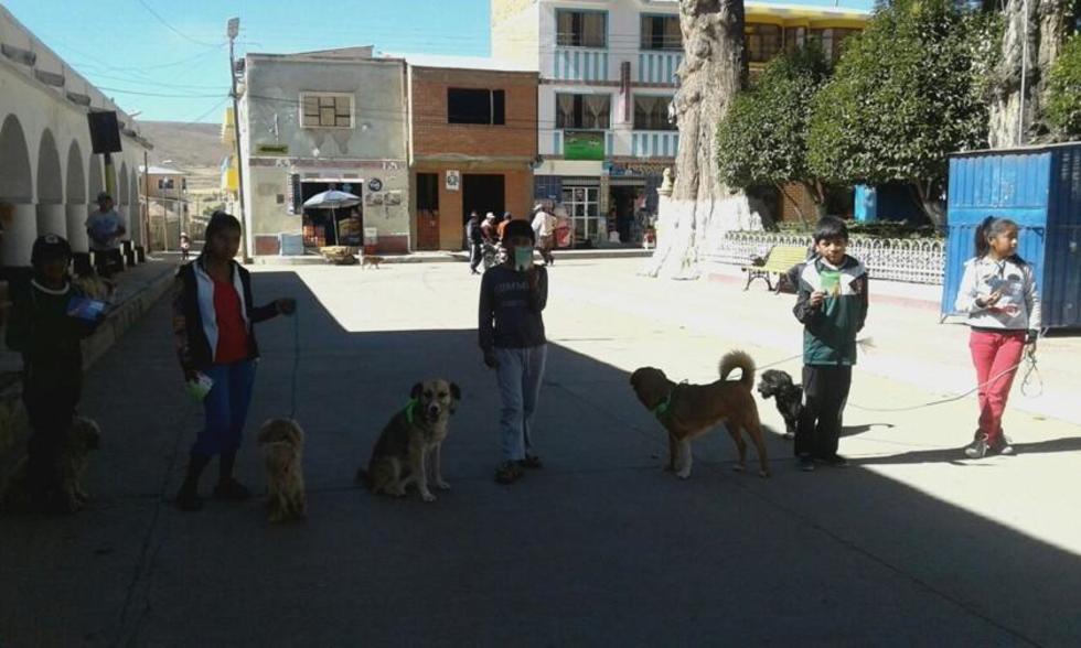 Campaña de vacunación antirrábica inicia el sábado 18 hasta el domingo 19