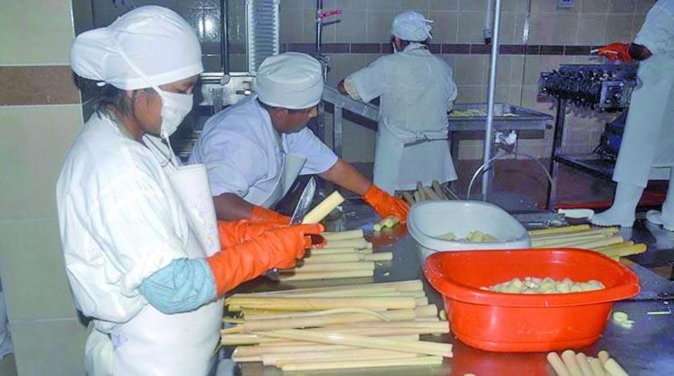 Productores de palmito piden ayuda ante cierre de mercados