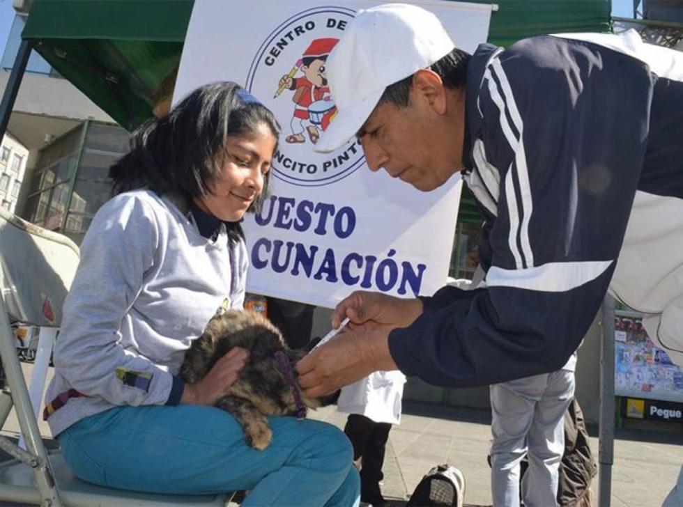 En 7 departamentos la vacunación antirrábica alcanza al 83 por ciento
