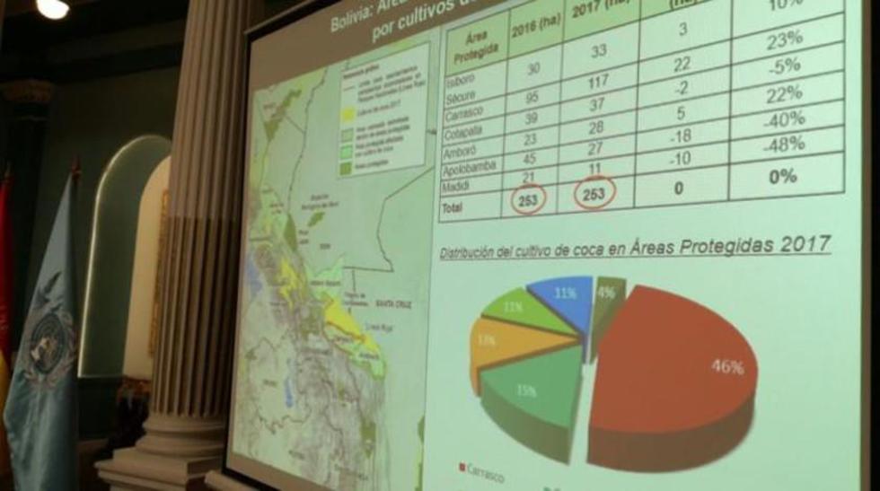Plantaciones de coca en Bolivia se incrementan en 6 por ciento