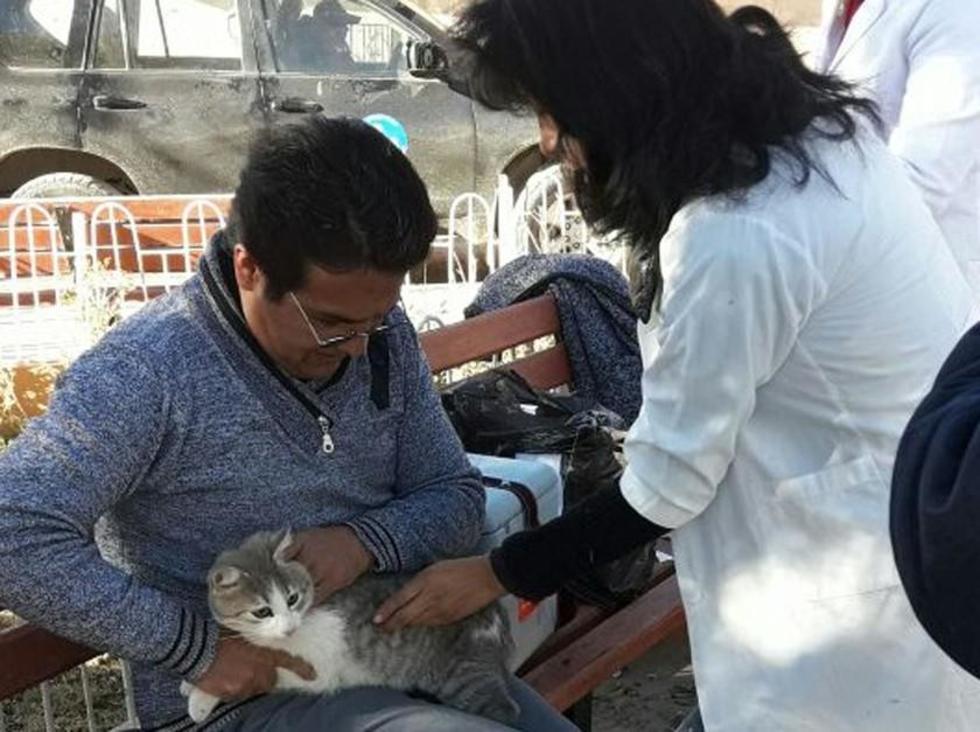 Vacunaron a más gatos de lo previsto contra la rabia