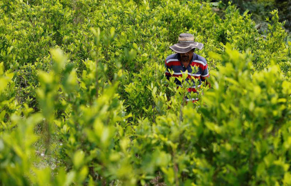 Colombia confirma secuestro de campesinos en la frontera
