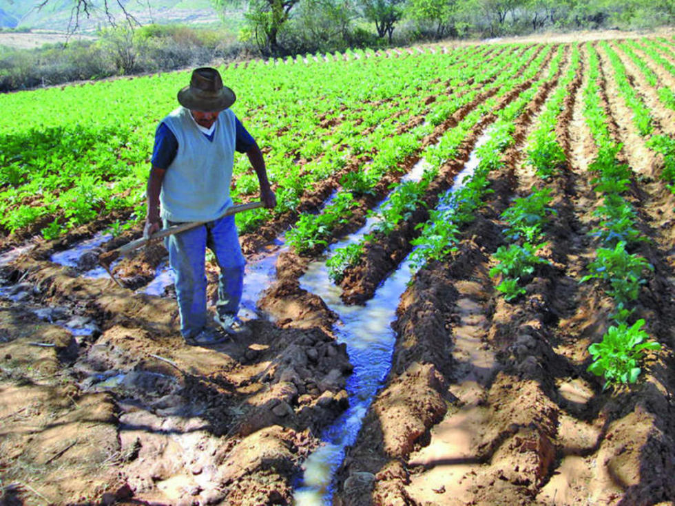 Aprueban proyectos productivos en el municipio