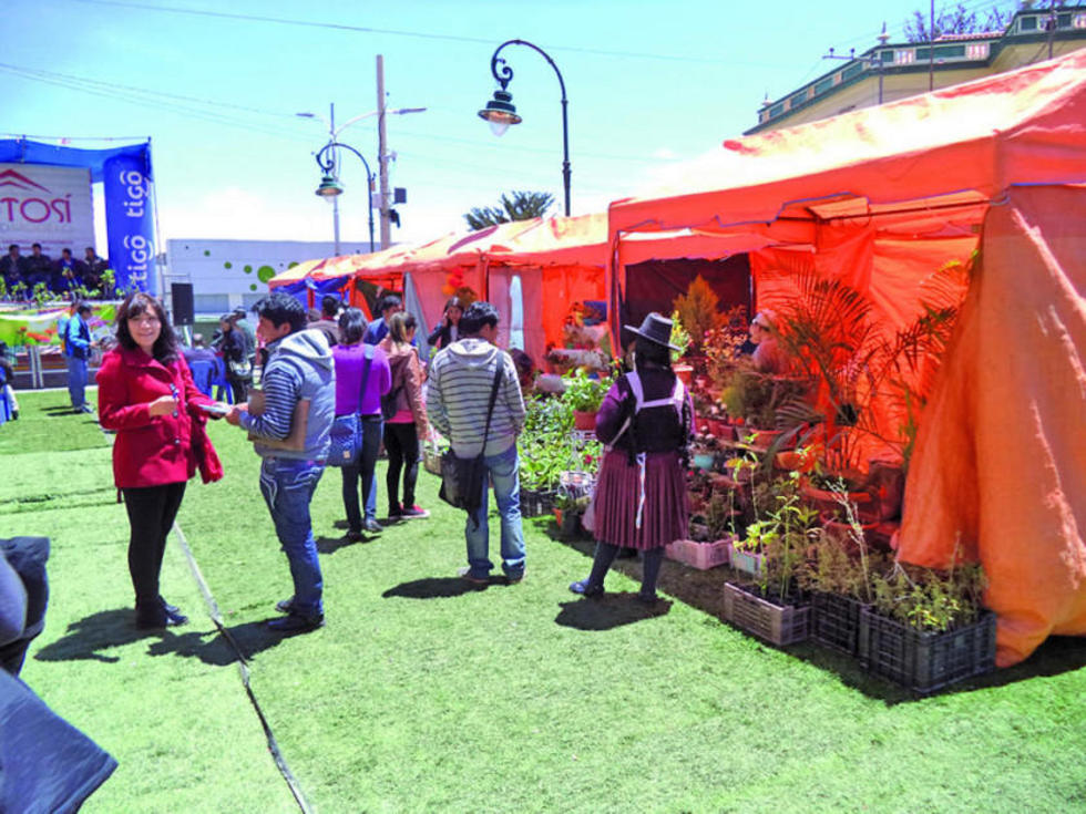 Piden otras ferias de flores de altura