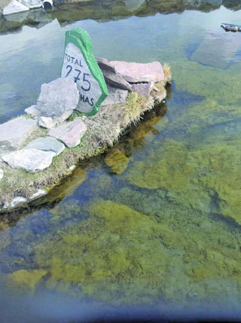 Opositores piden que la CIJ inspeccione el Silala para ver que no es un río