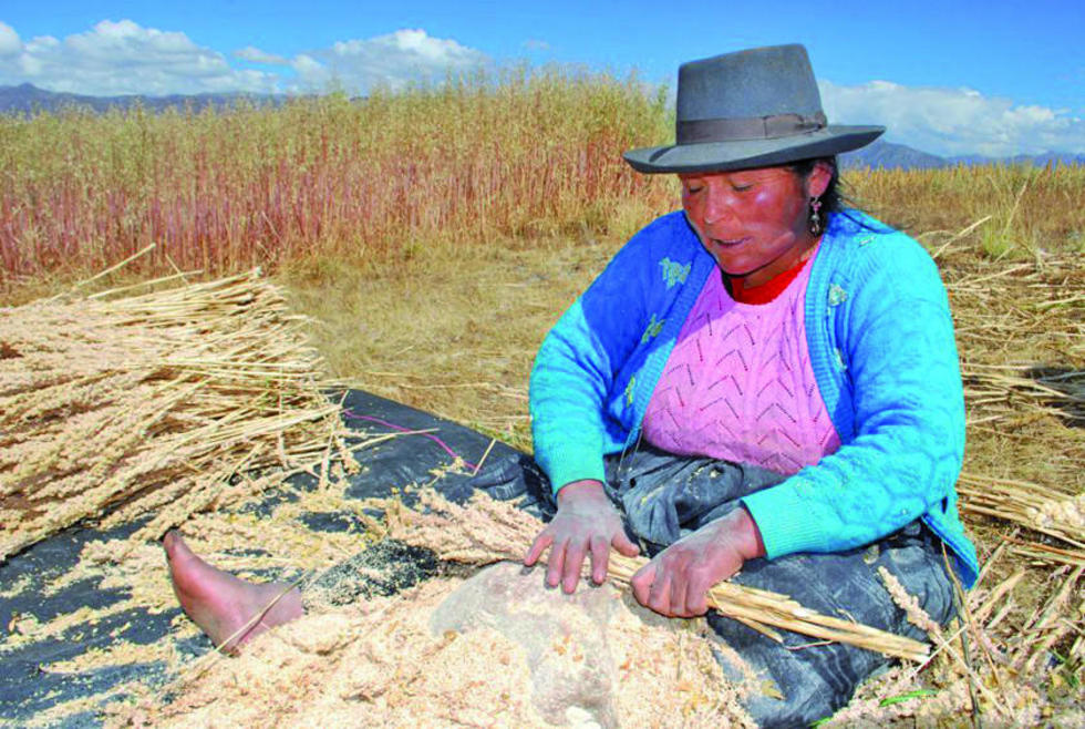Coroma denuncia que Oruro viola un pacto de paz por la quinua