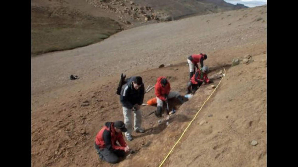 Hallan restos de nuevo saurópodo