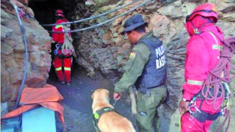 La comisión que fue a Aucapata no confirma el sacrificio de un niño
