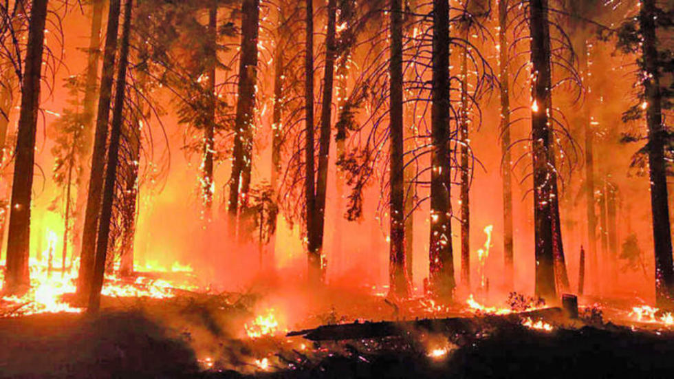 Gobierno acusa a ambientalistas de causar el incendio en EE.UU.