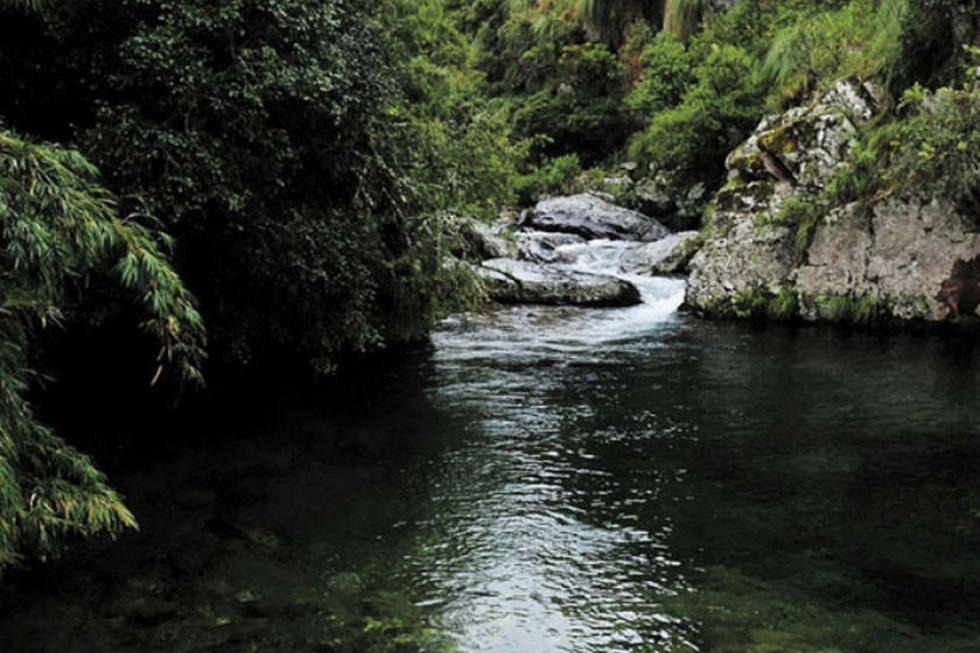 Preparan una denuncia internacional en defensa de la reserva Tariquía 