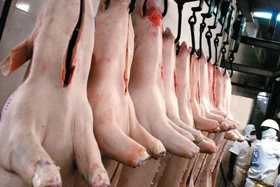 La provisión de carne de cerdo está garantizada