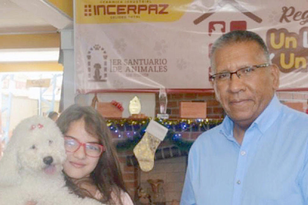 Perritos sin hogar tendrán santuario