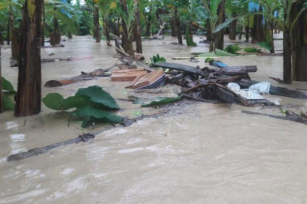 Desborde de 2 ríos afecta plantaciones