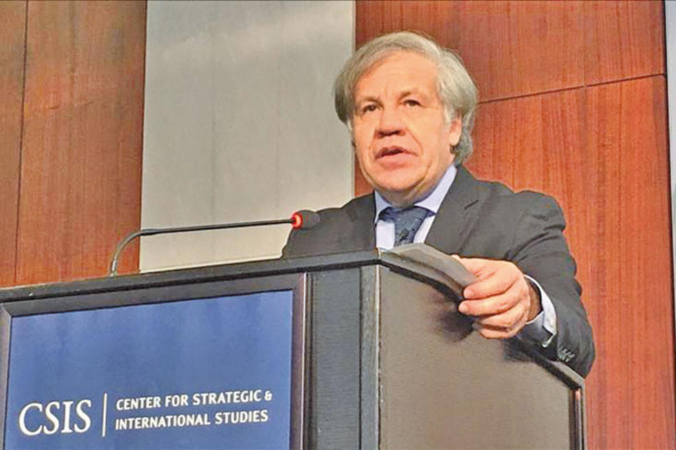 Primarias: la OEA enviará una misión de observadores 