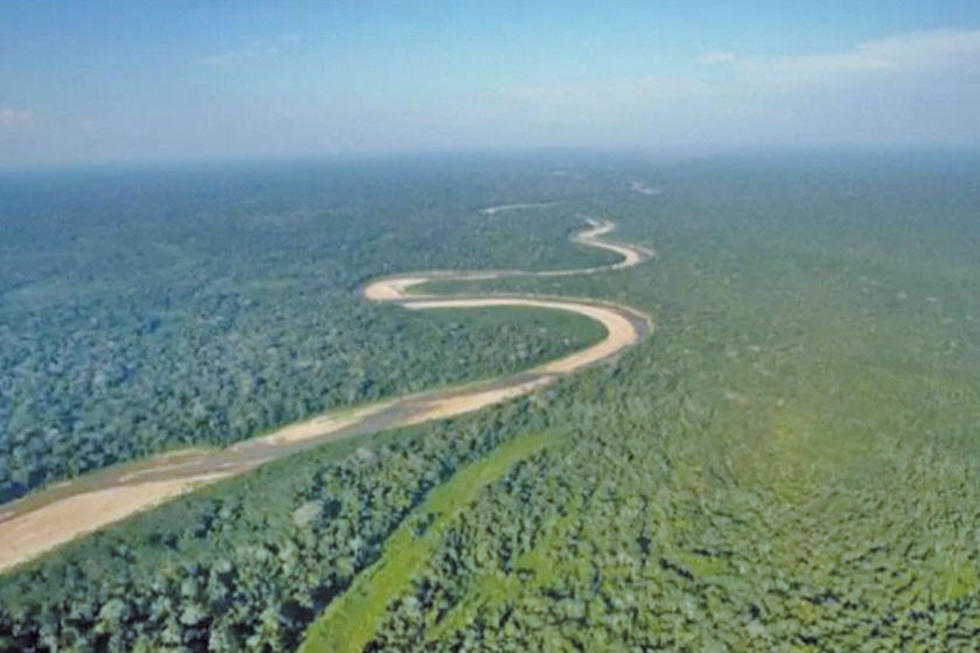 Tribunal de Defensa de la Naturaleza: Polígono 7 amenaza al Tipnis