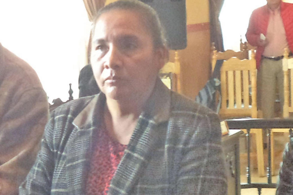 Convocan a sesión para elegir a las comisiones 