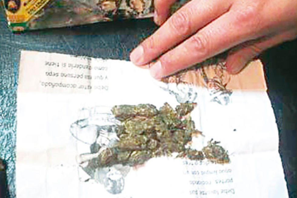 Una niña era utilizada para la distribución de marihuana