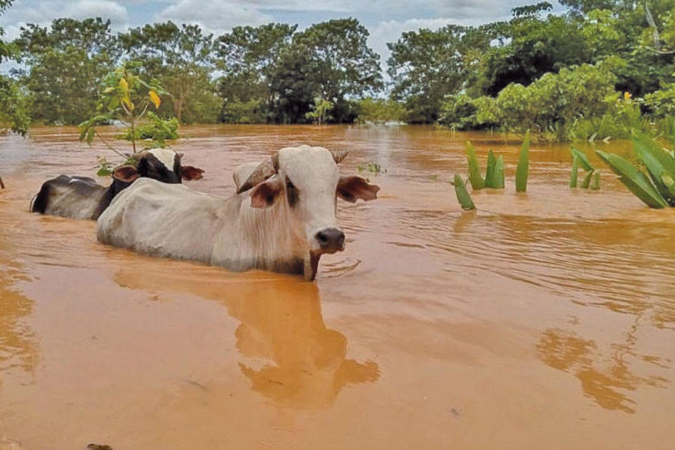 Declaran alerta por el desborde de ríos en ocho departamentos