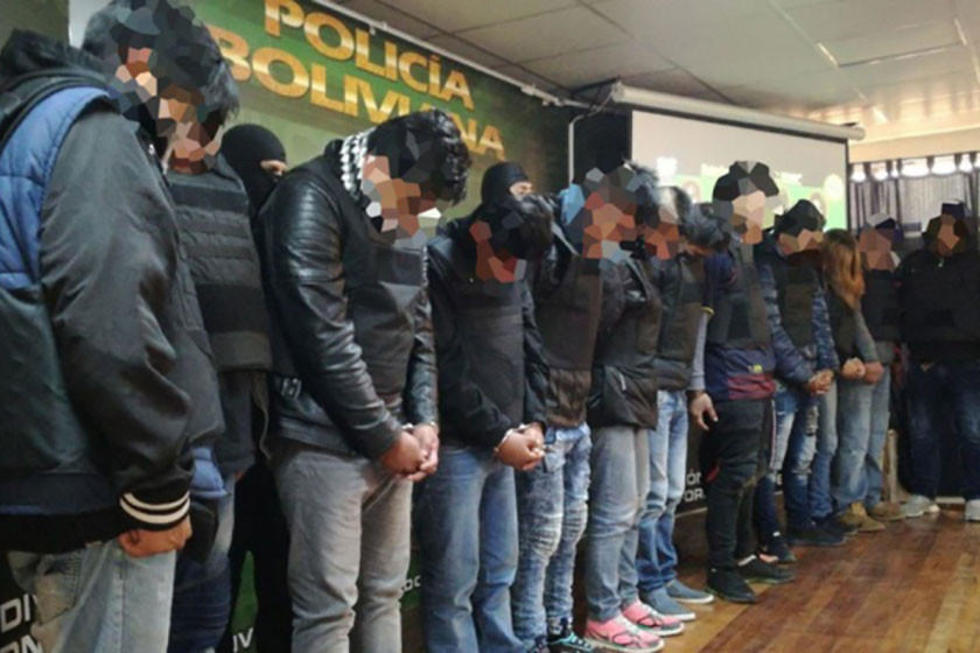 Felcc desarticula 3 grupos delincuenciales en La Paz