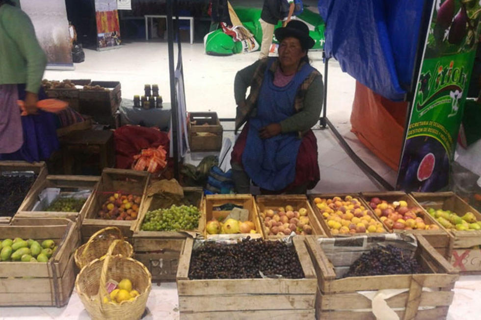 Potosí muestra su potencial agrícola y pecuario en feria