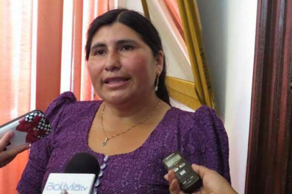 Presentan Plan de Desarrollo Departamental de Potosí
