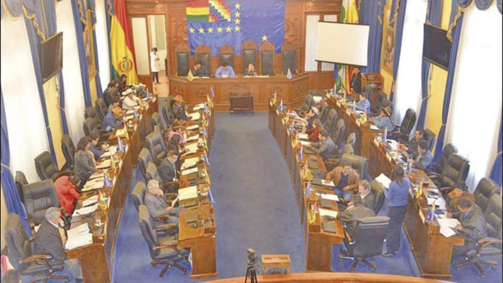 Senado aprueba ajustes a ley para las elecciones del 20 de octubre