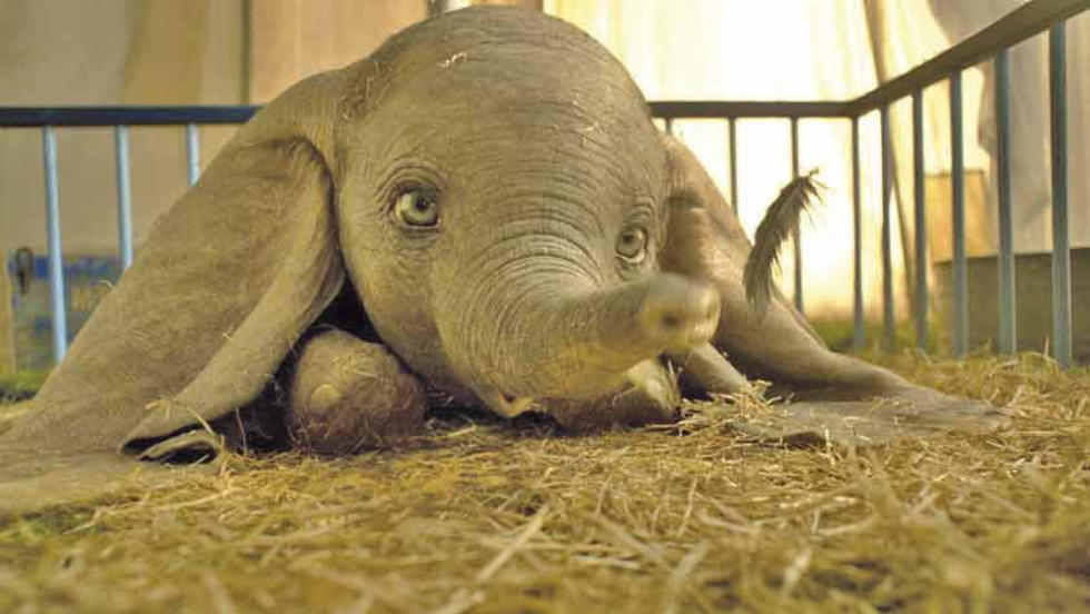 Hoy se estrena Dumbo en EE.UU.