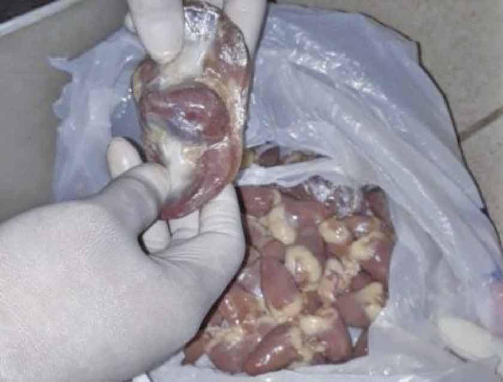 Descubren droga camuflada en corazones de pollo